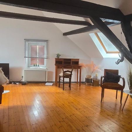 Brunstatt-Didenheim Loft Gaia 아파트 외부 사진